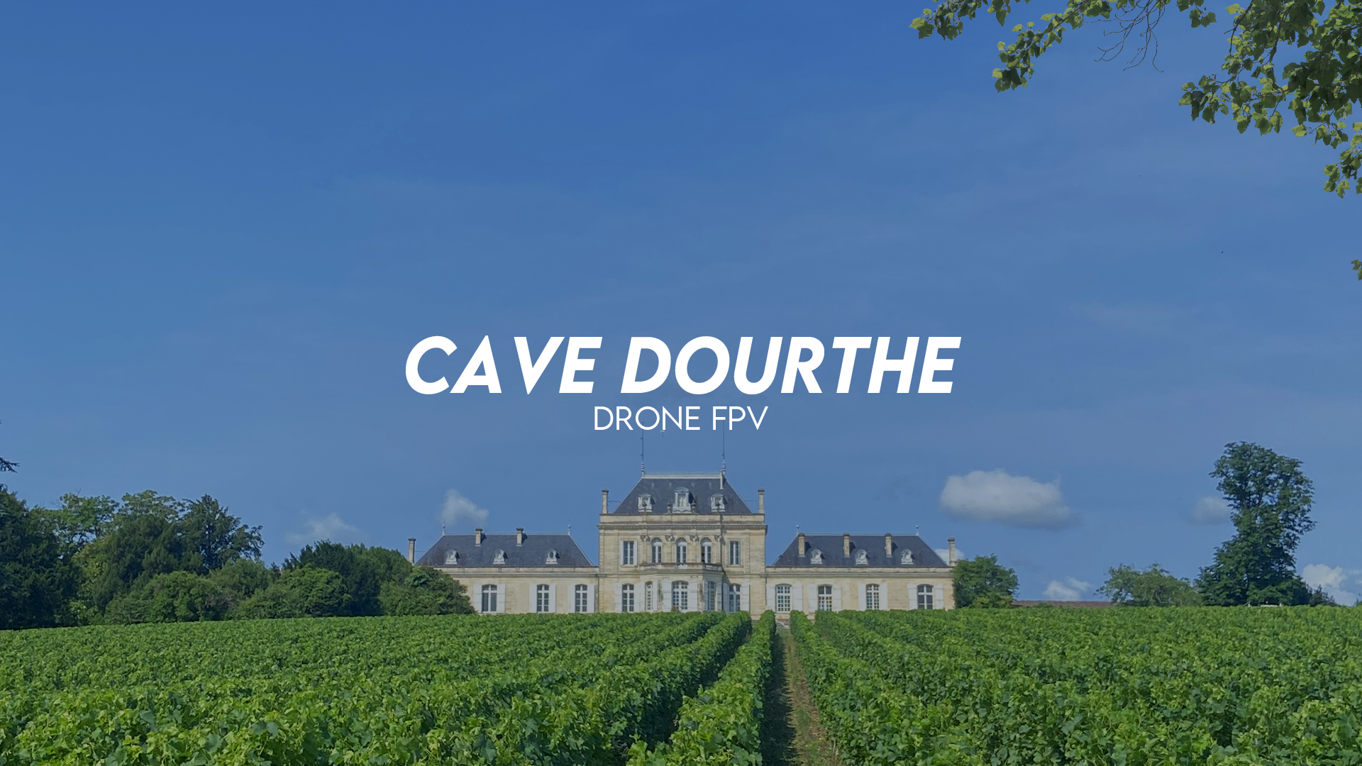 Cave Dourthe